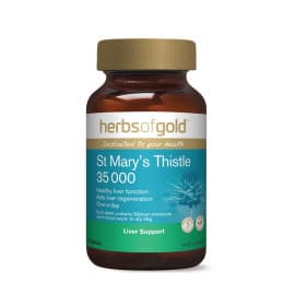 St Marys Thistle 35 000 by Herbs Of Gold