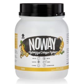 NOWAY Protein – ATP Science Banana Flavour 1kg