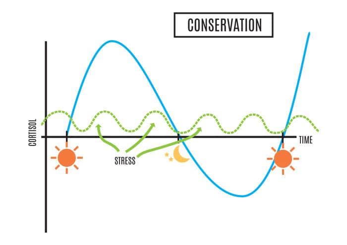 atpscience-cortrx-cortisol