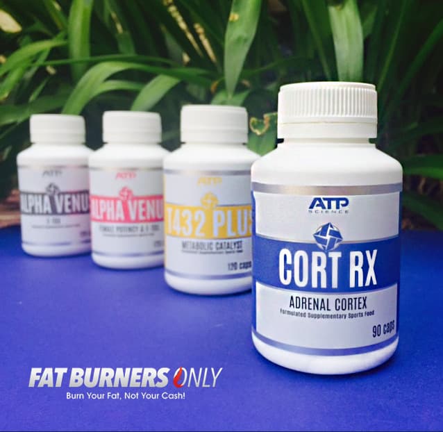 Cort_RX_atp_science_stress_cortisol